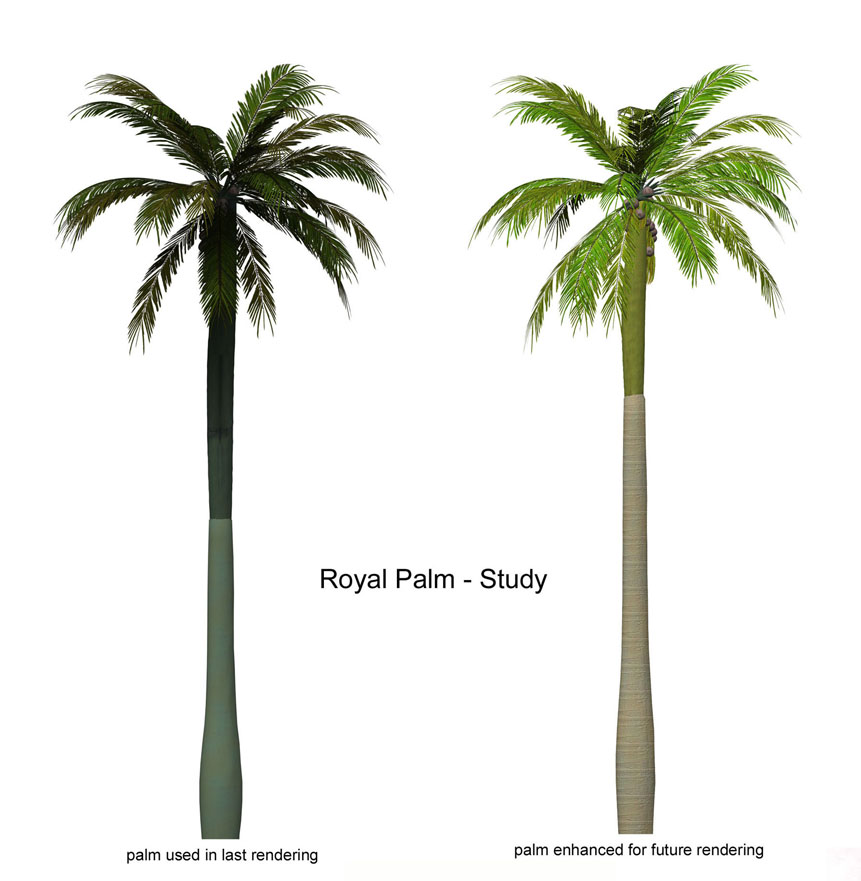 Palm Tree Photoshop Plan