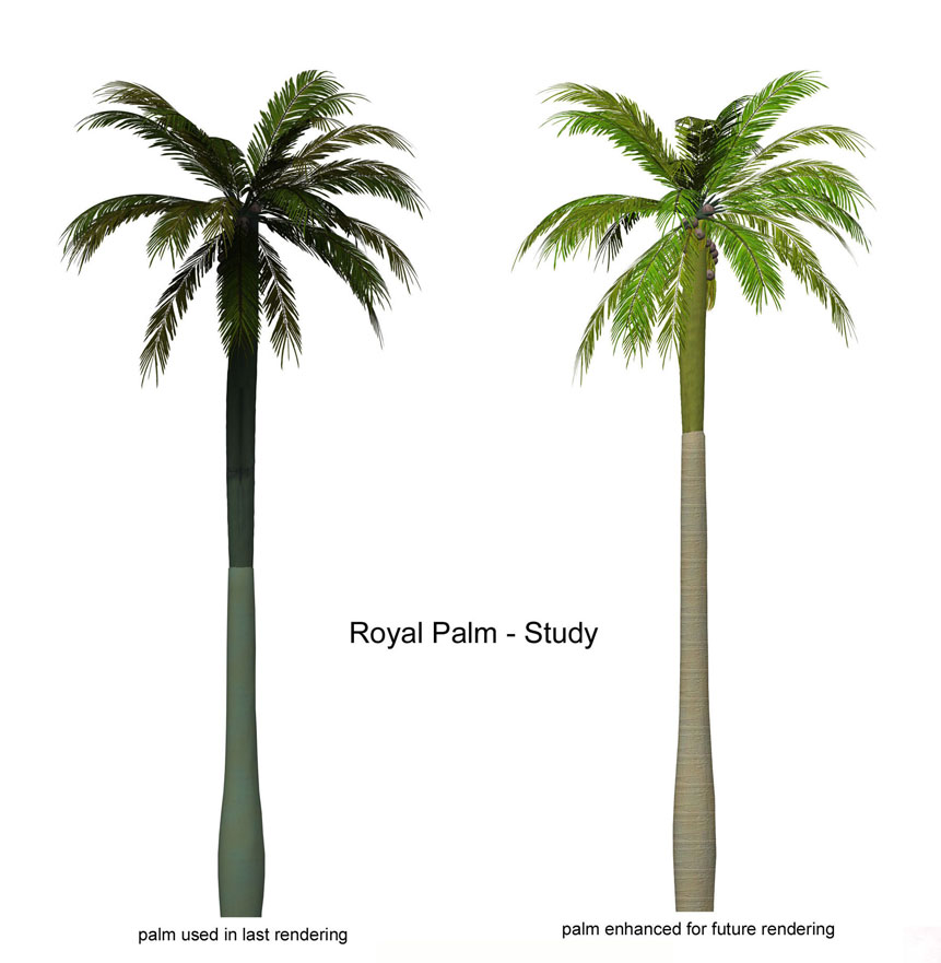 Palm Tree Photoshop Plan Palm Tree Photoshop Plan