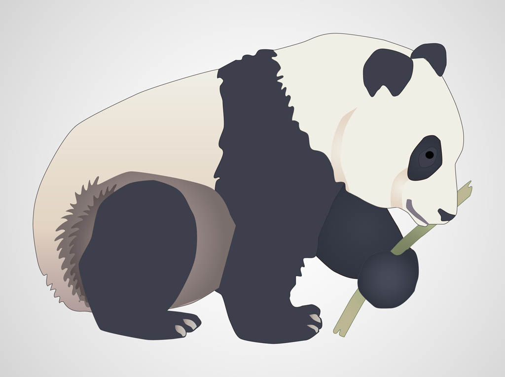 Panda Bear Vector Art