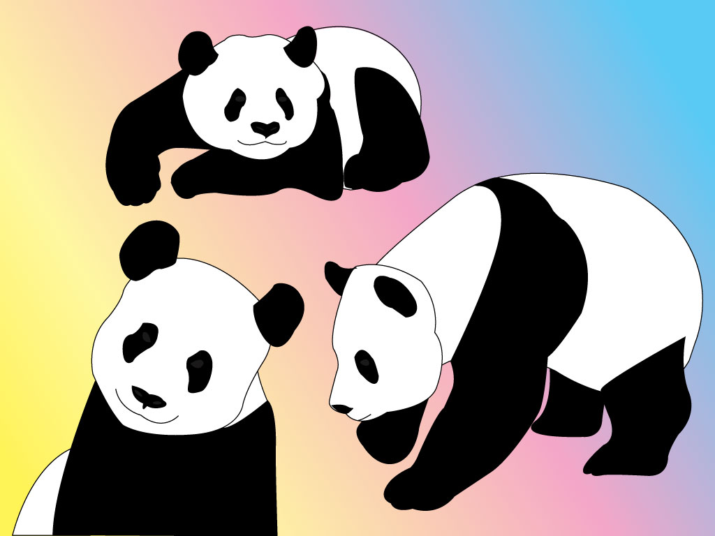 Panda Bear Vector Art