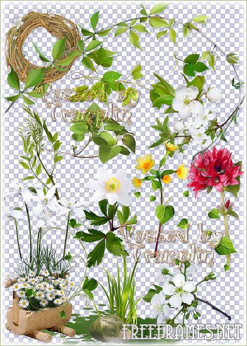 Photoshop Transparent Spring Flowers