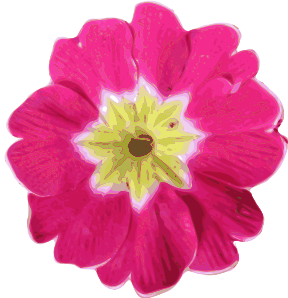 Pink Flowers Clip Art