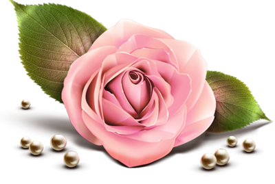 Pink Roses and Pearls Pink Roses and Pearls