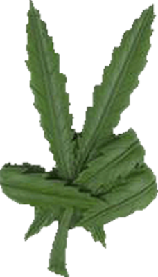 Pot Leaf Peace Sign