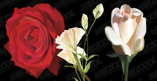 Realistic Vector Flowers