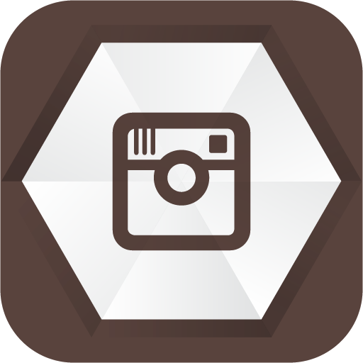 Social Media Icon Instagram