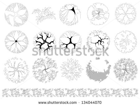 Tree Top View Vector