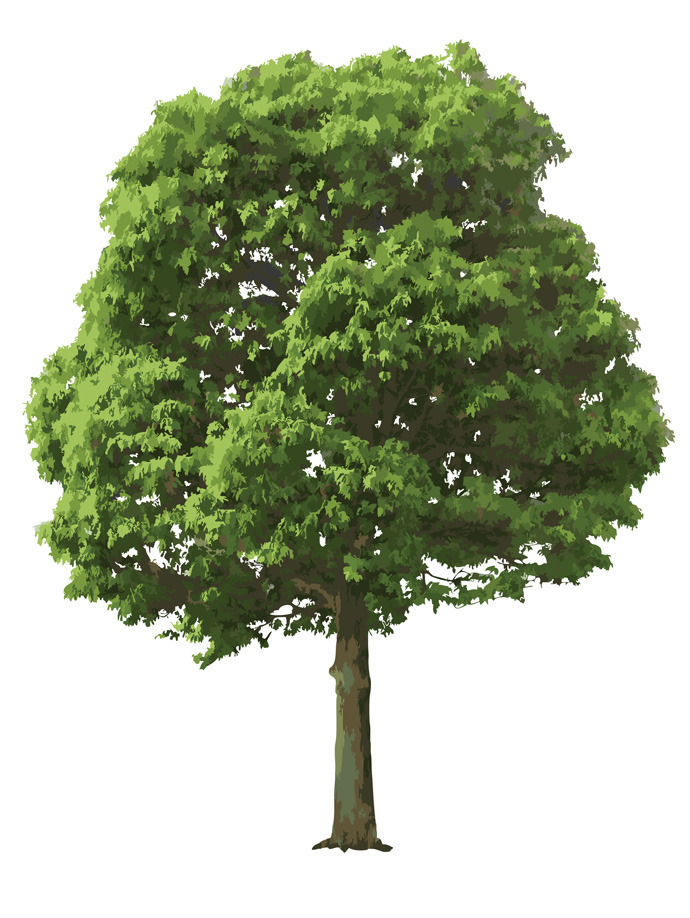 Tree Vector