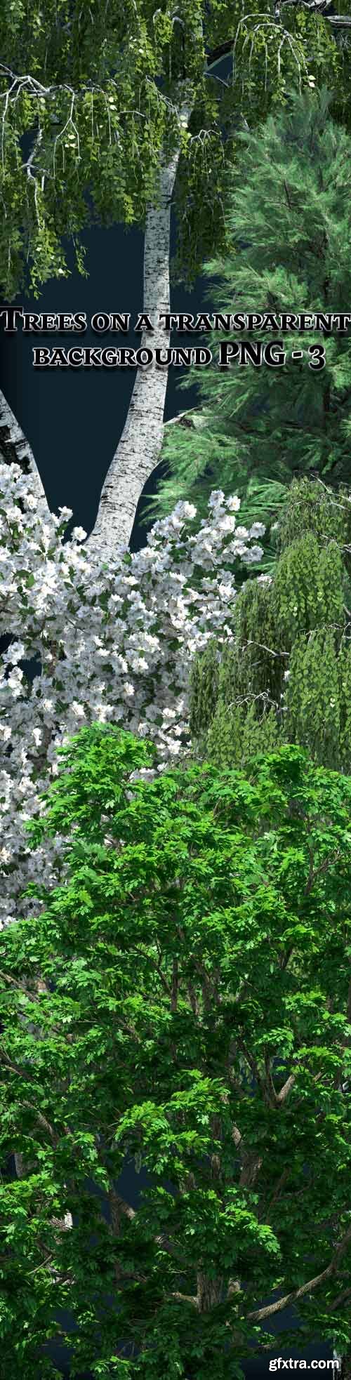 Trees with a Transparent Background