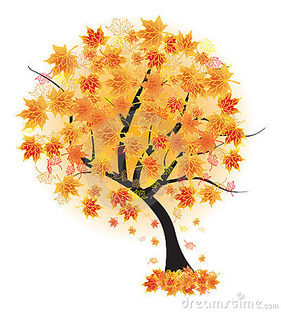 Vector Fall Autumn Maple Tree Leaf