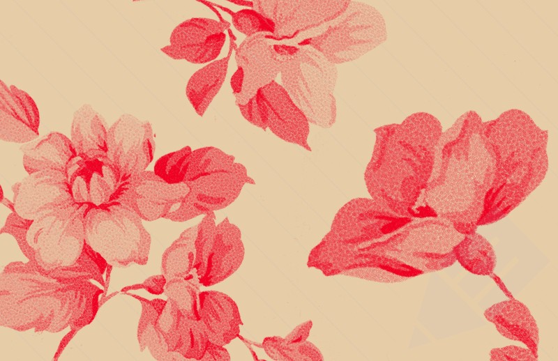 Vintage Floral Photoshop Brush Set