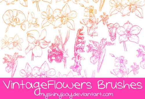 Vintage Floral Photoshop Brushes