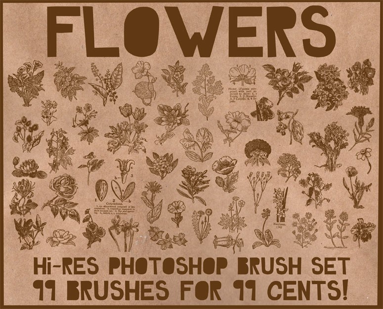 Vintage Flower Photoshop Brush