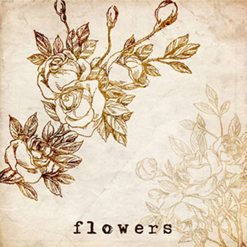 Vintage Flower Photoshop Brushes deviantART