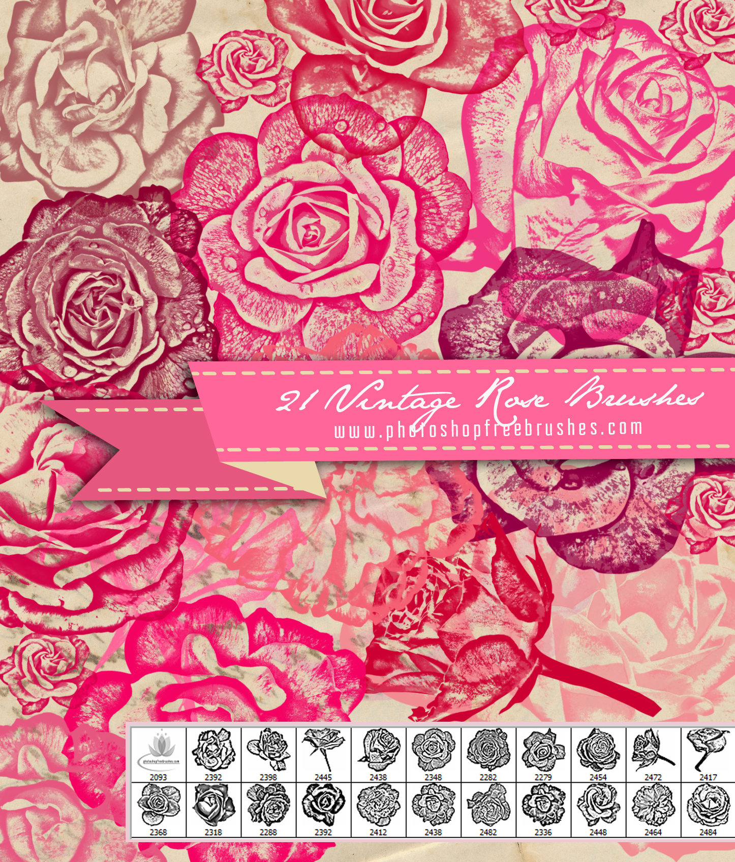 Vintage Rose Photoshop Brushes