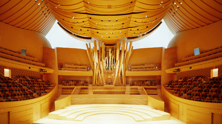 Walt Disney Concert Hall Interior