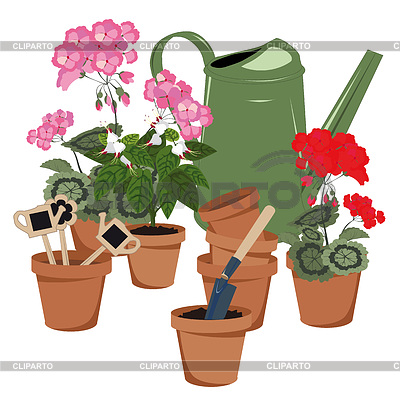 Watering Can Potted Flowers
