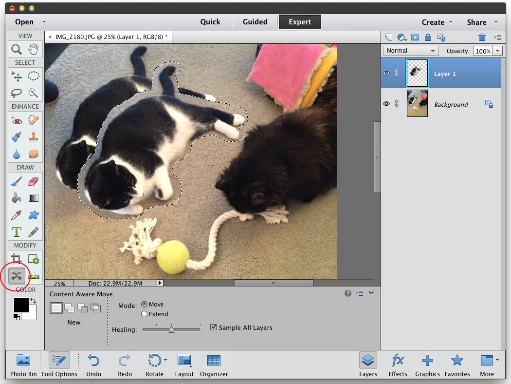 Adobe Photoshop Elements 12