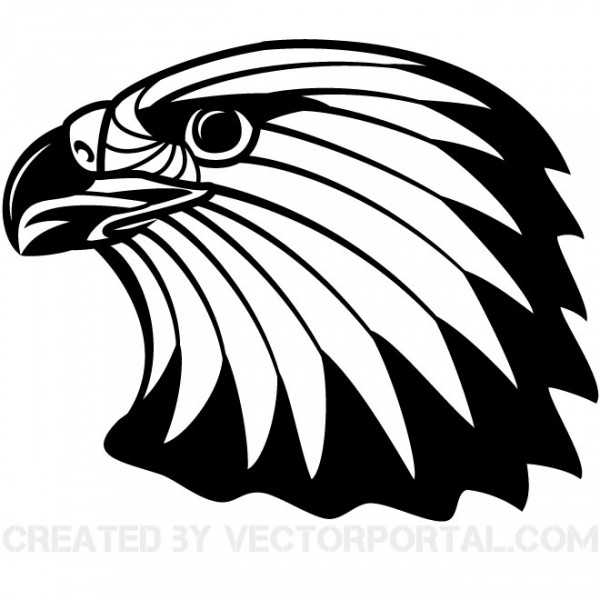 Bald Eagle Vector Art