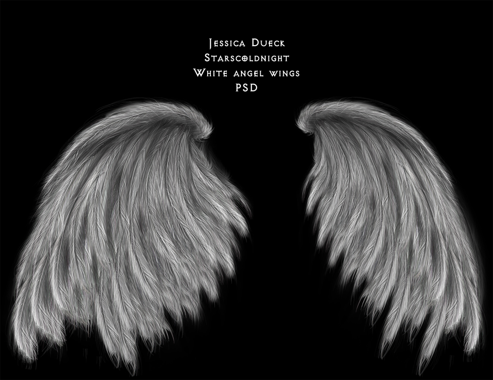 Black and White Angel Wings