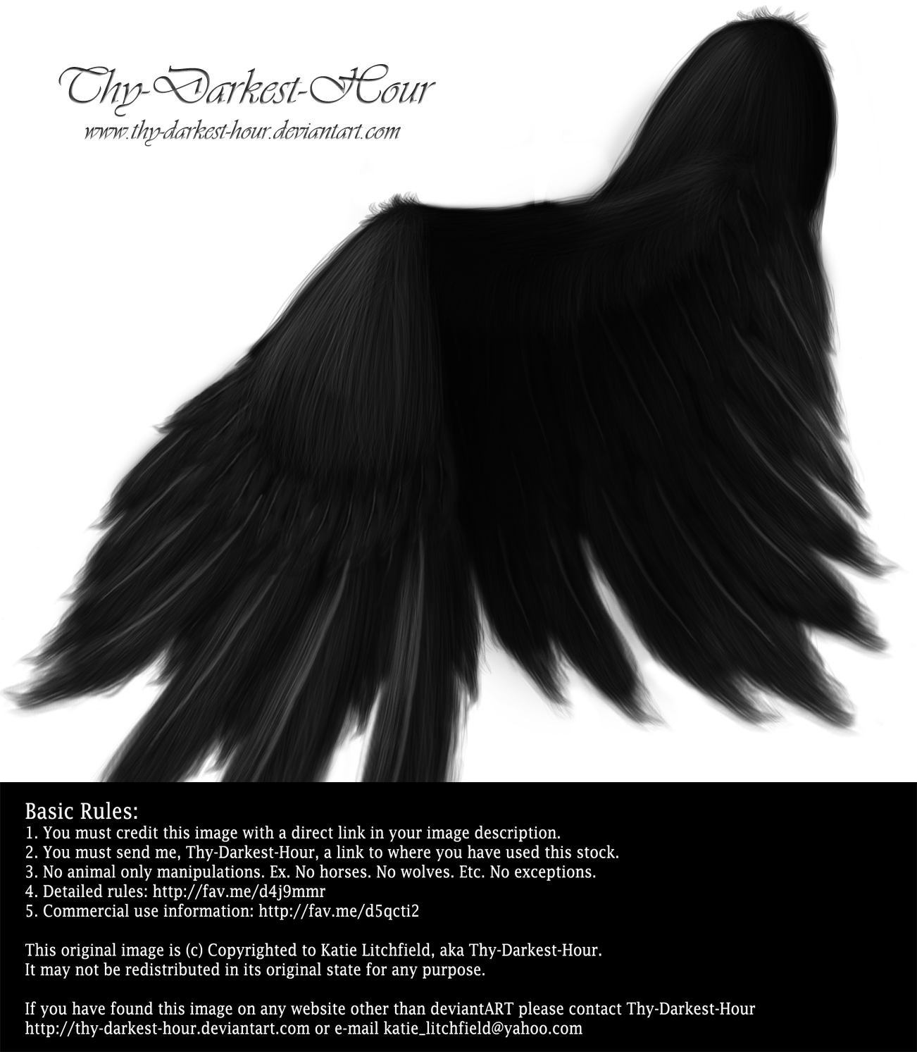 Black Angel Wings Folded