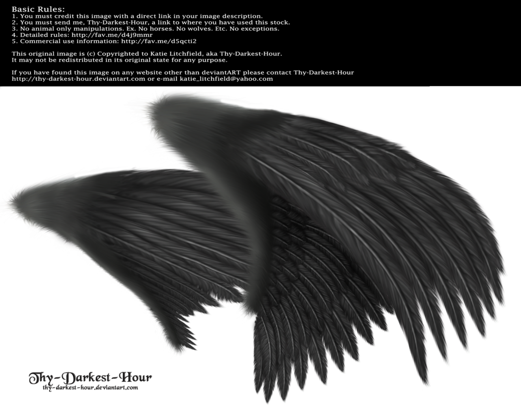 Black Angel Wings Side View