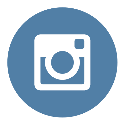 Circle Instagram Logo Icon