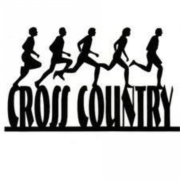 12 Cross Country Shoe Vector Art Images