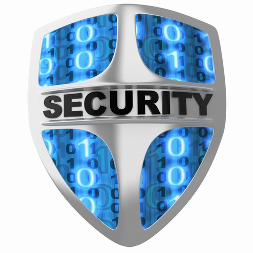 Cyber Security Shield
