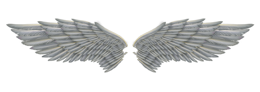 deviantART Angel Wings