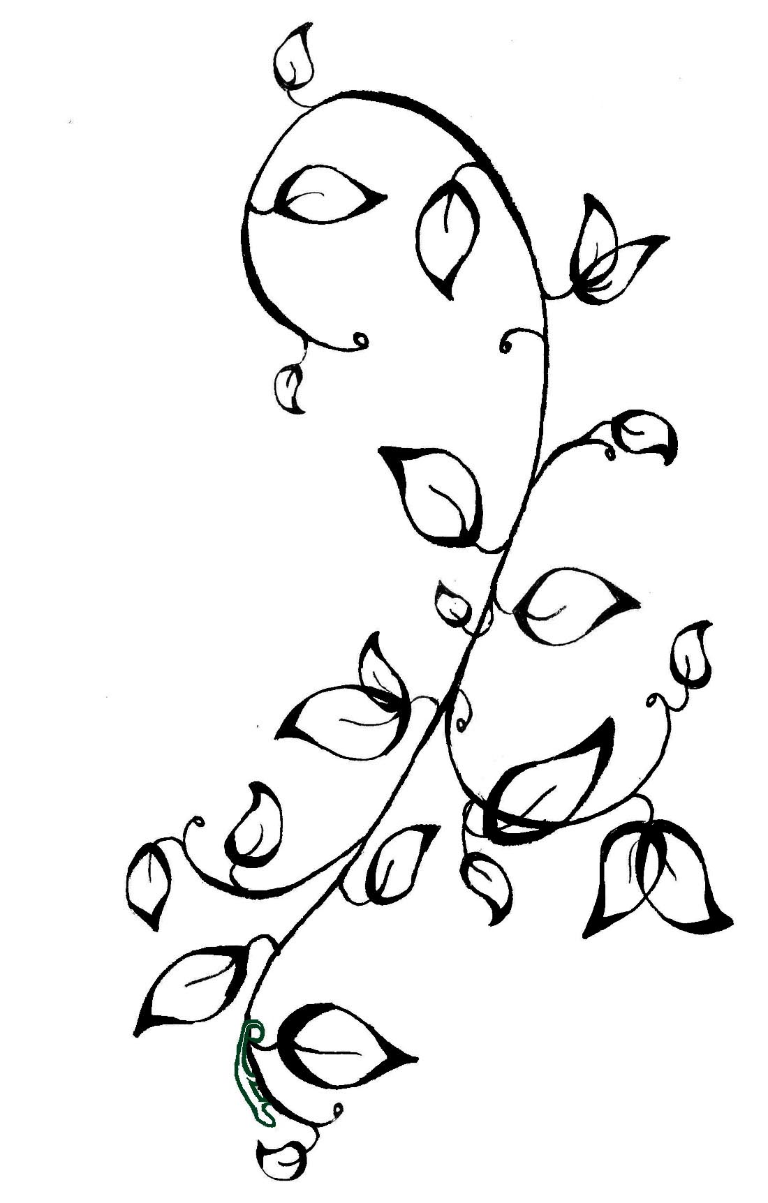 Drawing Vine Tattoo Designs