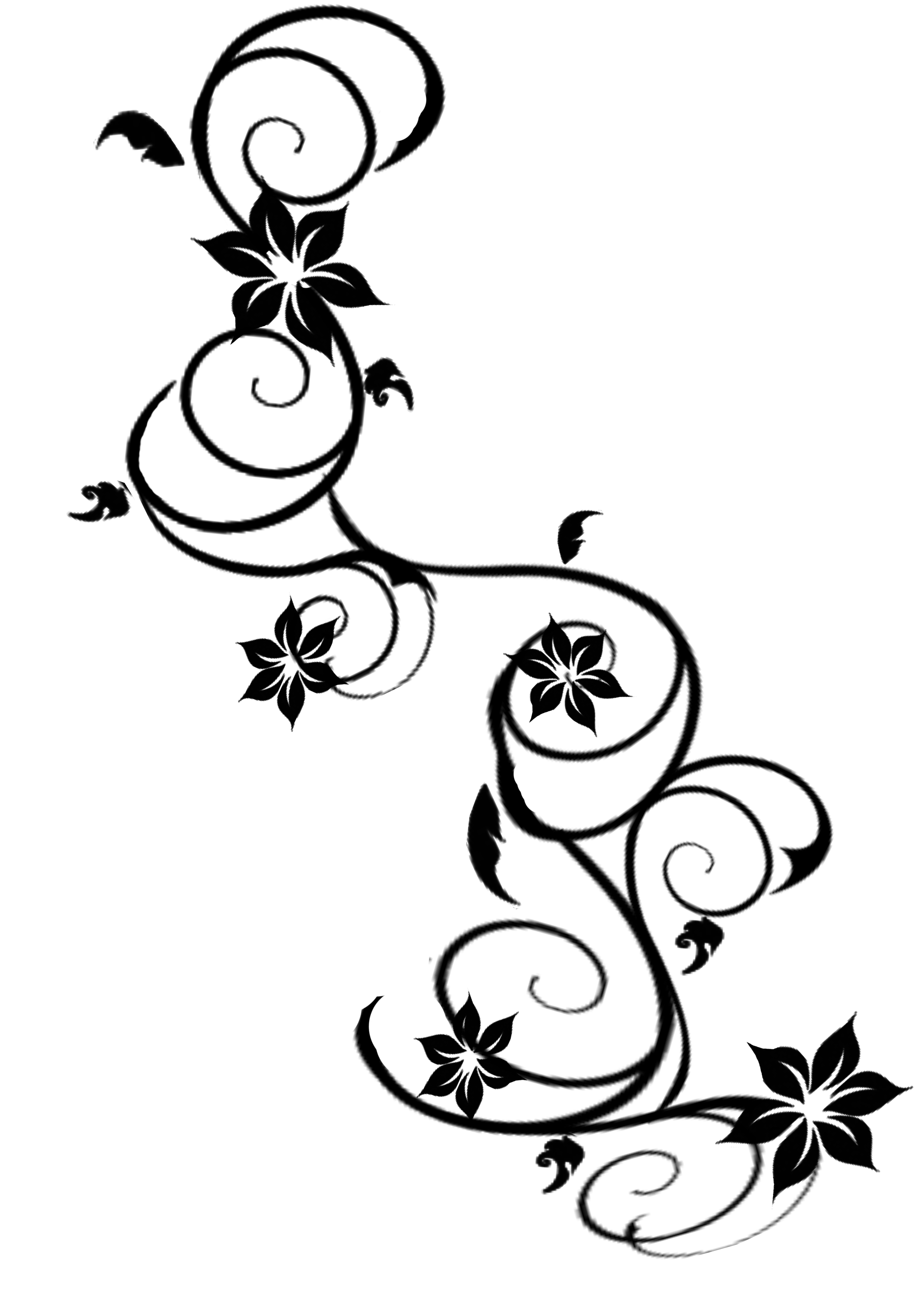 Drawing Vine Tattoo Designs