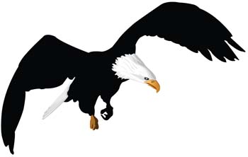 Eagle Vector Art