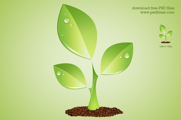 12 Photos of Environmental Green Plant Icon