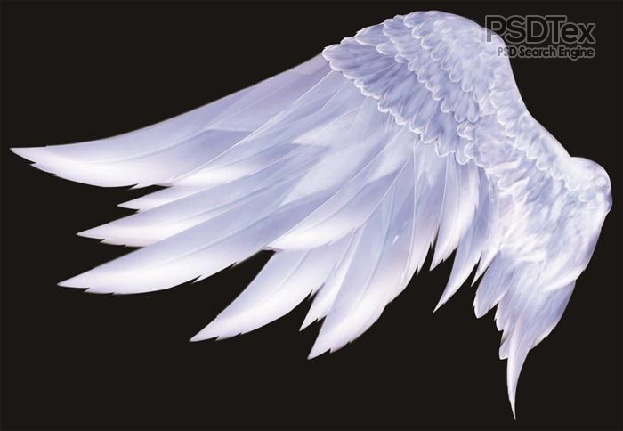 18 Angel Wings Side PSD Images