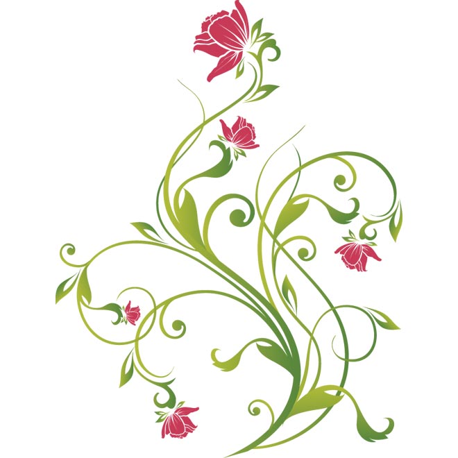 Flower and Vine Vector Graphic