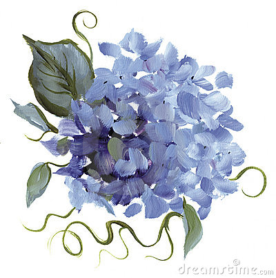 Free Clip Art Hydrangea Flowers