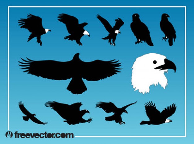 Free Eagle Vector Graphics