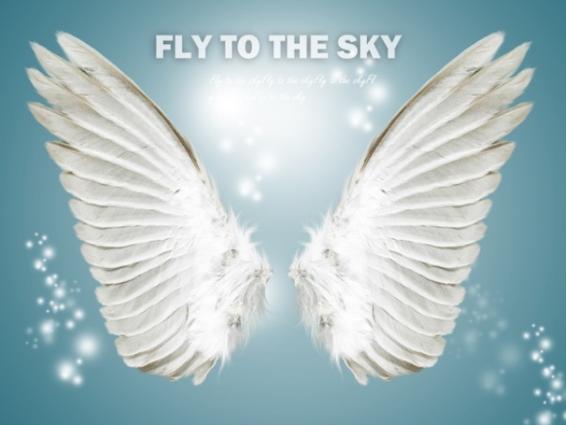 Free Psd Angel Wings