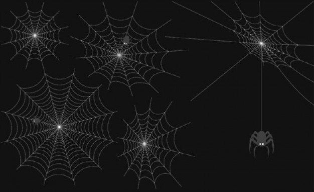 Free Vector Spider Web