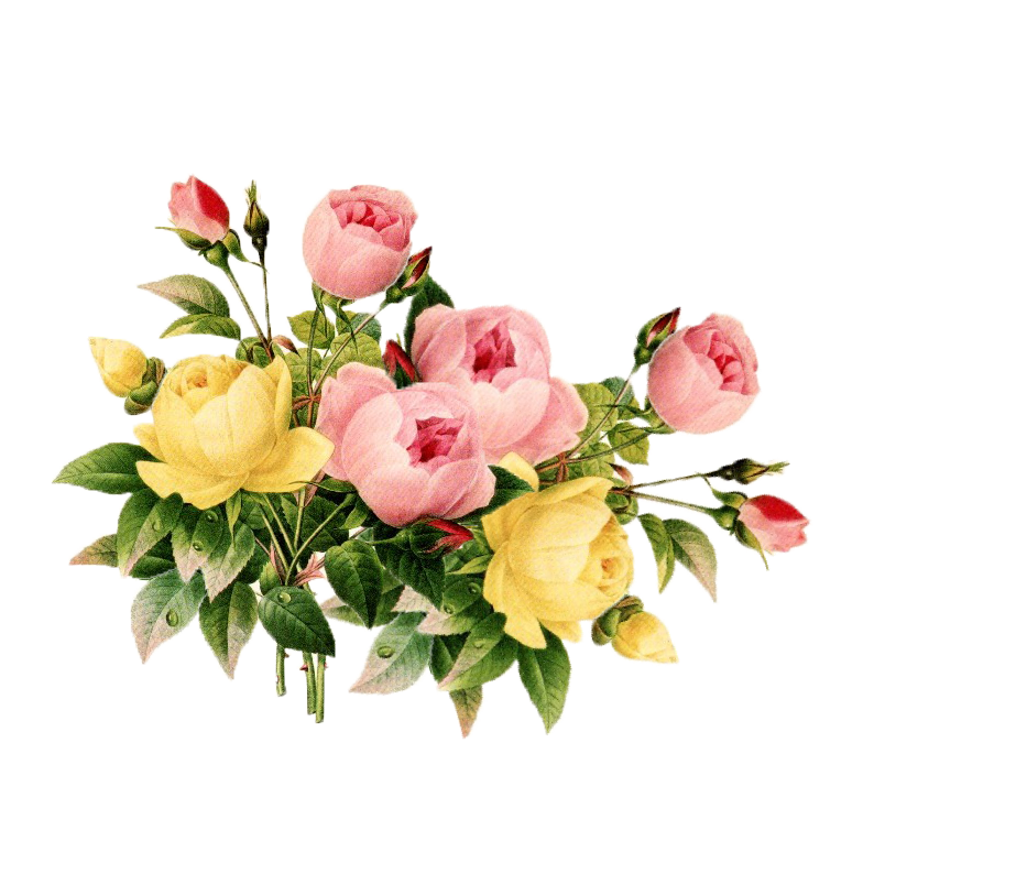 Free Vintage Flower Clip Art PNG