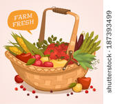 Fruit Basket Vector Fruit Basket Vector