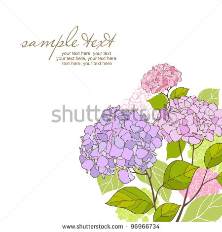 Hydrangea Free Vector Clip Art