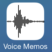 iOS 7 Voice Memo Icon