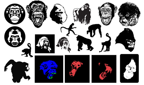 Monkey Vector Monkey Vector