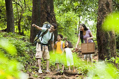 Outdoor Activities with Family