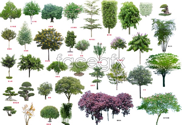 photoshop plants free download