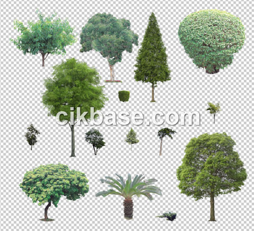 13 Plants In Plan PSD Free Download Images