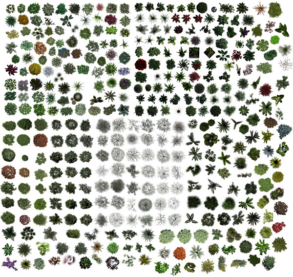 Photoshop Trees Plan View Photoshop Trees Plan View