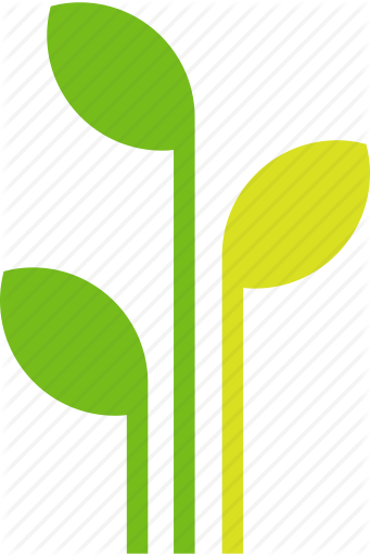 Plant Growth Icon
